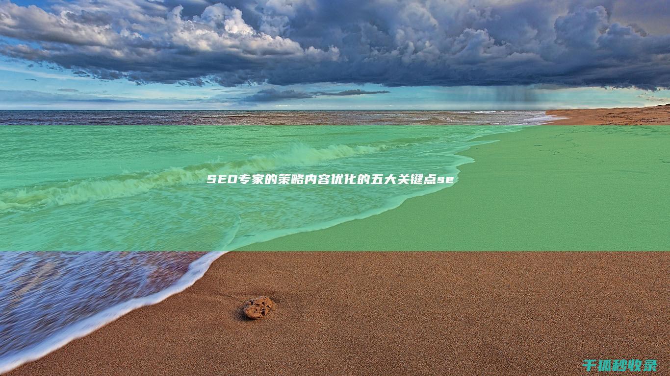 SEO专家的策略：内容优化的五大关键点 (seo专家的主要工作是什么)