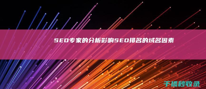 SEO专家的分析：影响SEO排名的域名因素 (seo专家是什么意思)